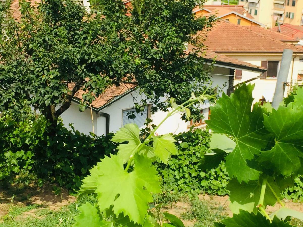 أركولا La Collina Di Albiro Affittacamere المظهر الخارجي الصورة